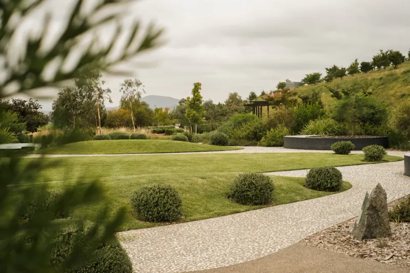 Designed garden in morning mist
